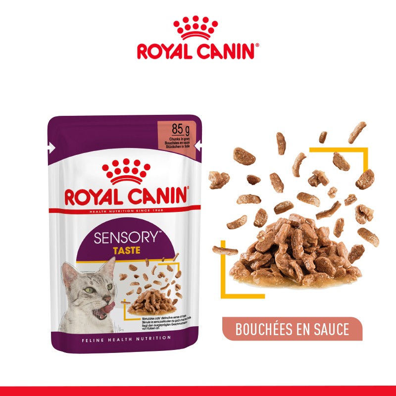 Royal Canin Sensory Taste - pâtée chat