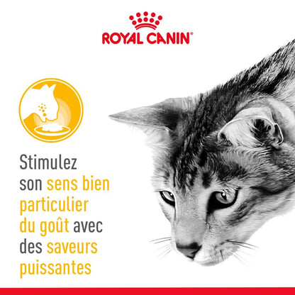 Royal Canin Sensory Taste - pâtée chat