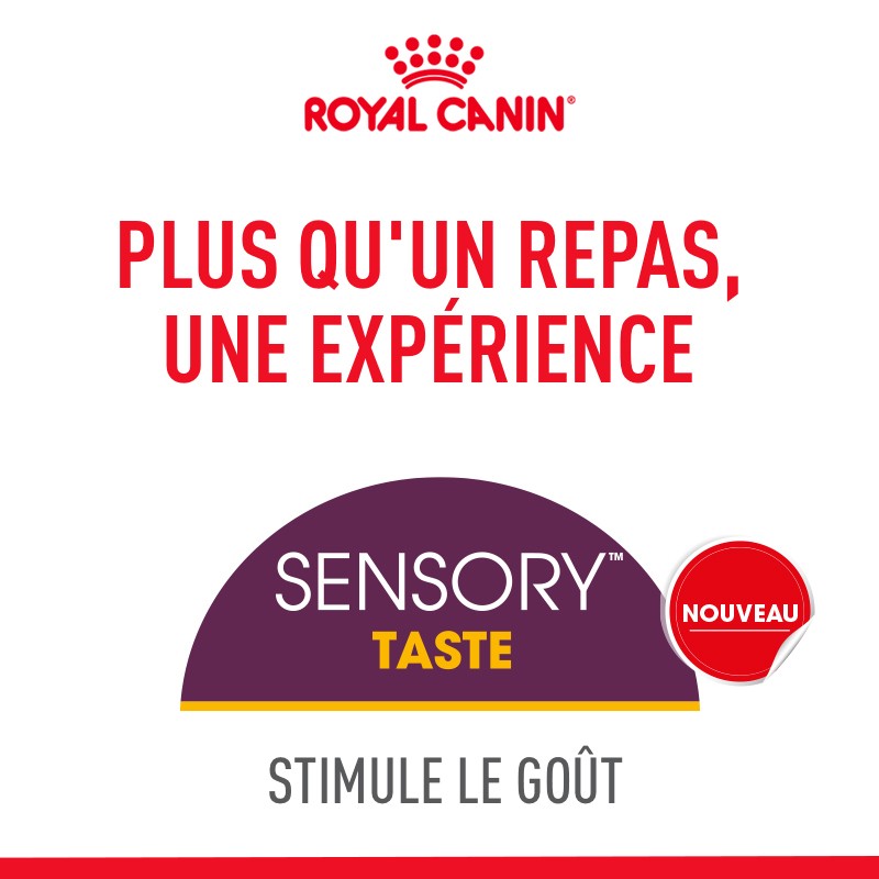 Royal Canin Sensory Taste - pâtée chat