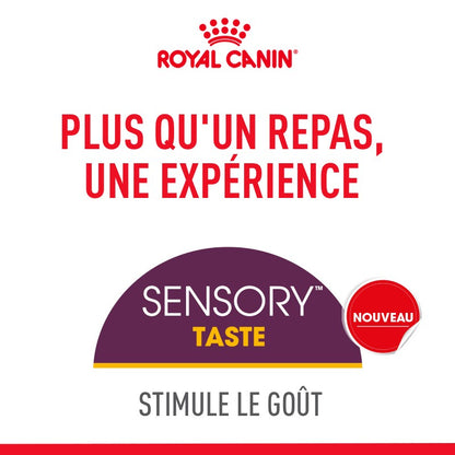 Royal Canin Sensory Taste - pâtée chat