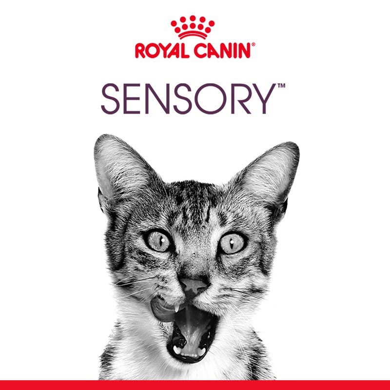 Royal Canin Sensory Taste - pâtée chat