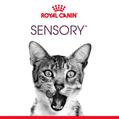 Royal Canin Sensory Taste - pâtée chat