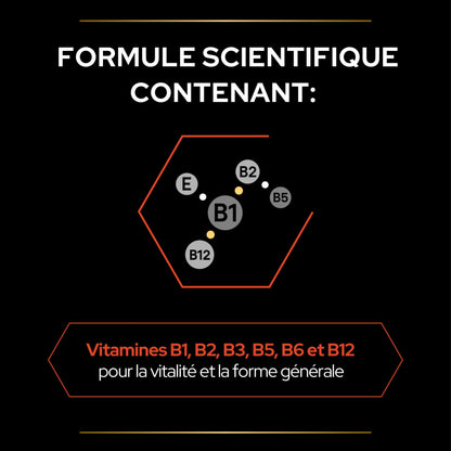 PRO PLAN Multi Vitamins+ en poudre - Aliment complémentaire pour chat