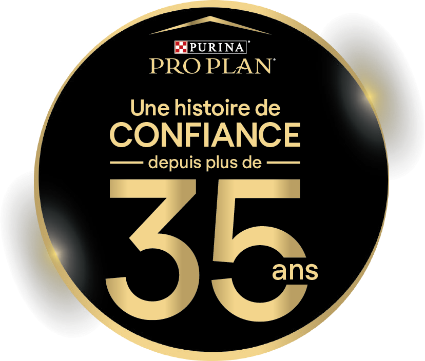 Pro Plan Veterinary Diets EN St/Ox Gastrointestinal – pâtées en bouchées pour chat