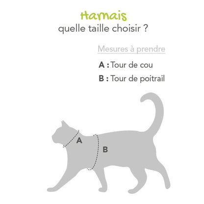 Harnais et laisse Active chat