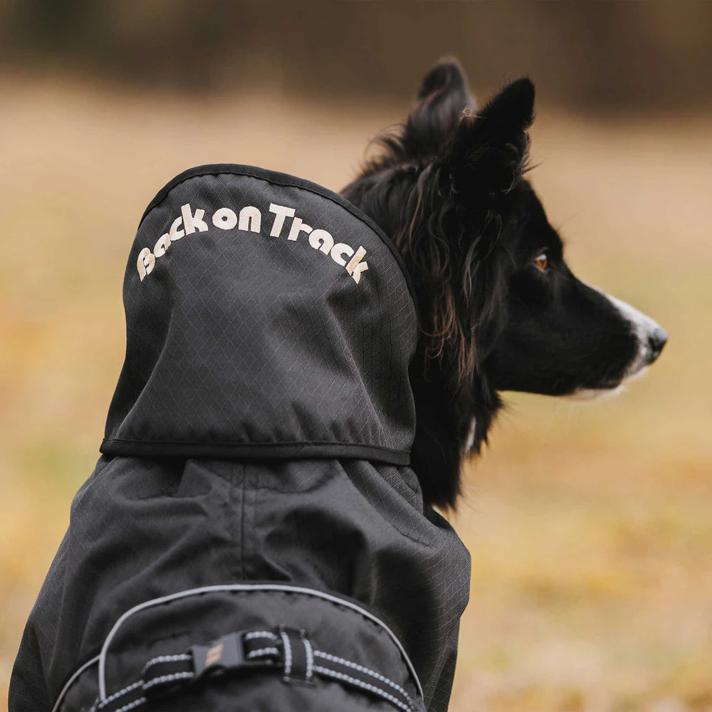 BOT MANTEAU  POUR CHIEN