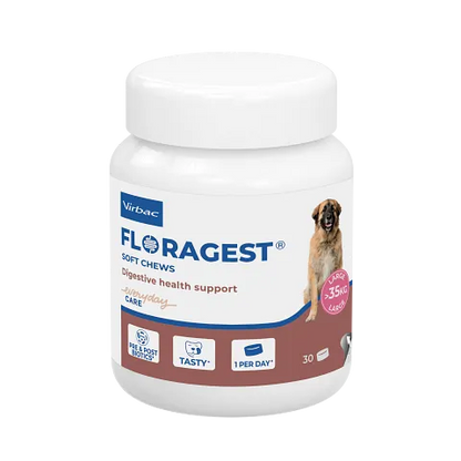 Floragest x 30 comprimés - Chien