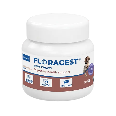 Floragest x 30 comprimés - Chien