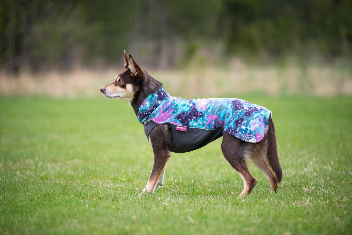 Pomppa Jumppa manteau polaire pour chien Aurora