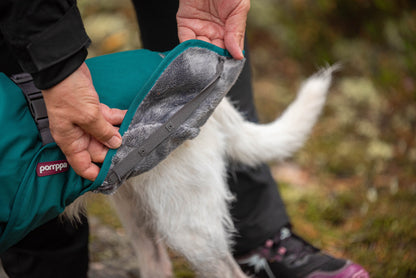 Pomppa Kevyt manteau imperméable pour chien Forest
