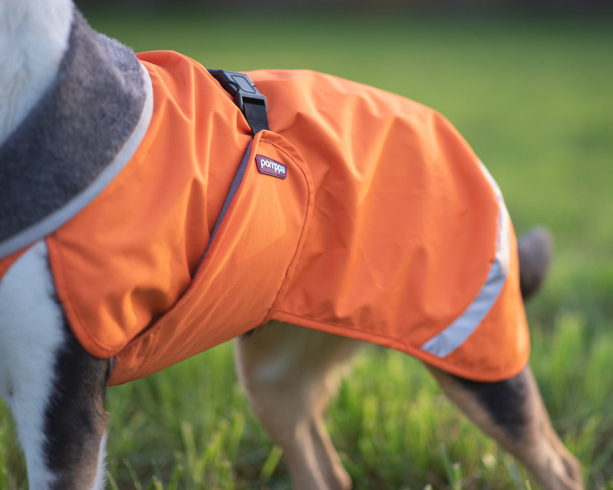 Pomppa Kevyt manteau imperméable pour chien Orange