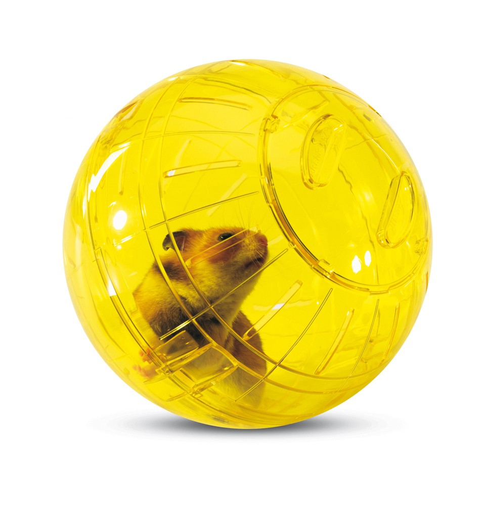 Boule d&
