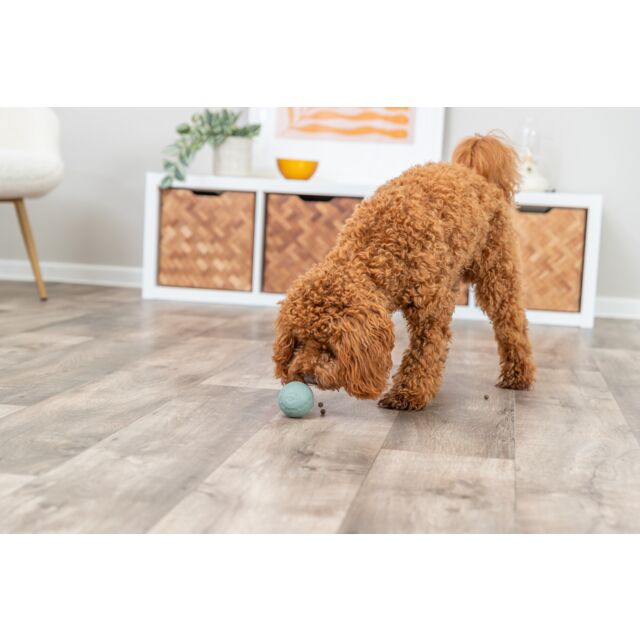 BALLE A FRIANDISES POUR CHIEN