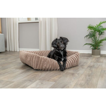 Lit Lonni brun clair chat, chien