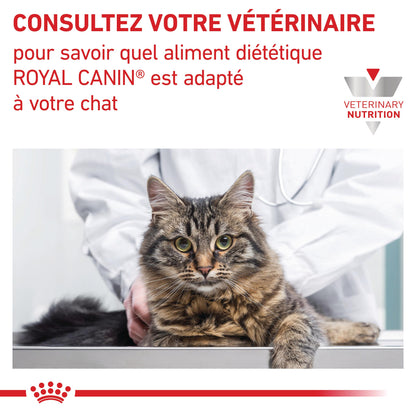 Royal Canin Veterinary Renal Special - croquettes chat