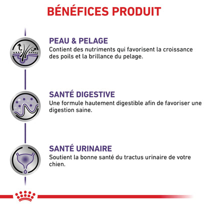 Royal Canin Expert Dog Adult - pâtée chien