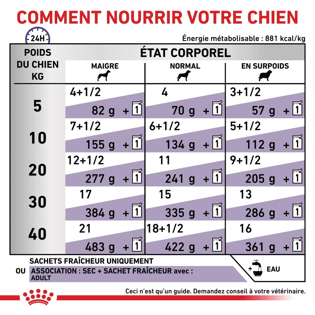 Royal Canin Expert Dog Adult - pâtée chien