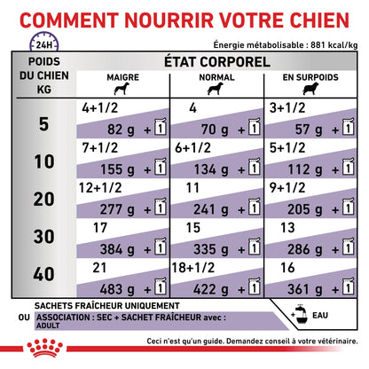 Royal Canin Expert Dog Adult - pâtée chien