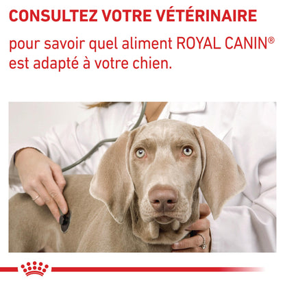 Royal Canin Expert Dog Adult - pâtée chien