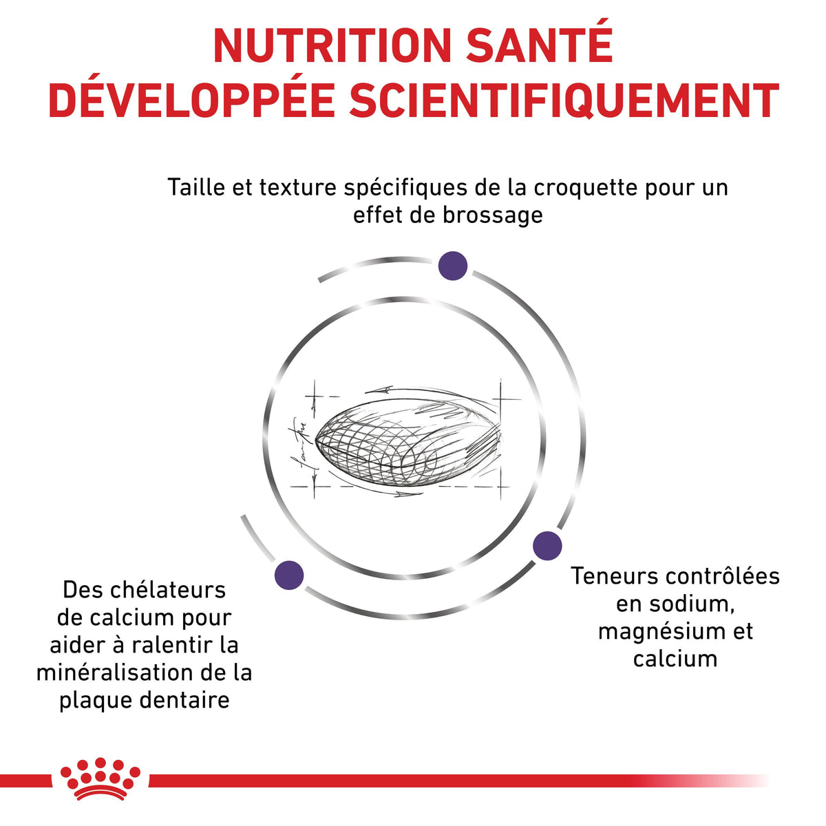 Royal Canin Veterinary Dental Small Dogs - croquettes chien