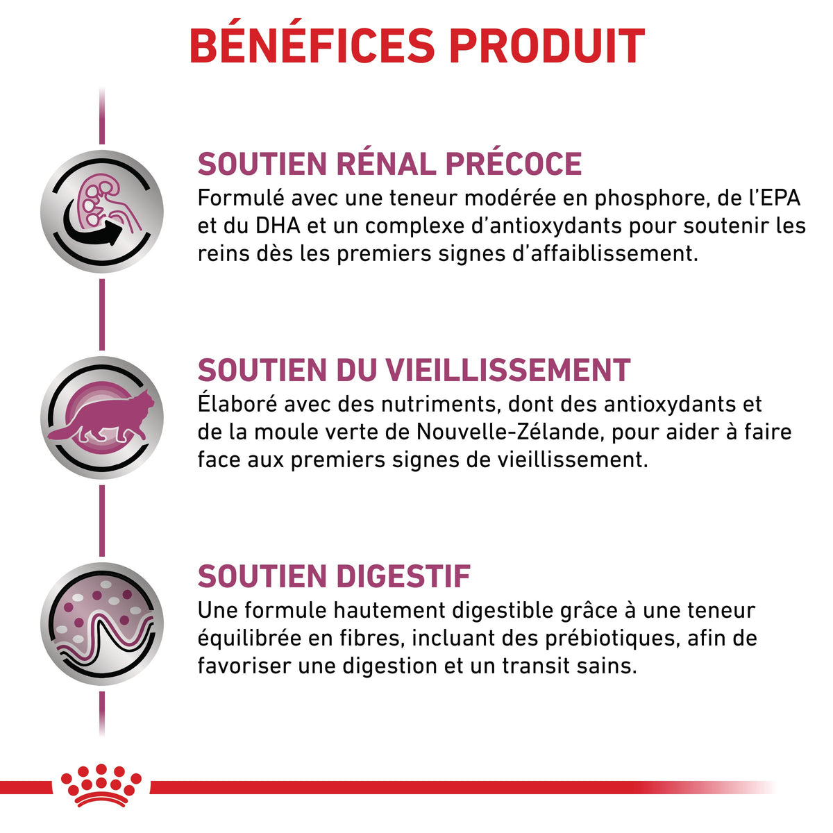 Royal Canin Veterinary Early Renal - aliment chat