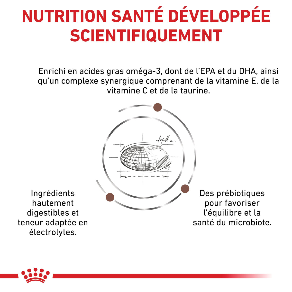 Royal Canin Veterinary Gastrointestinal Low Fat - croquettes chien
