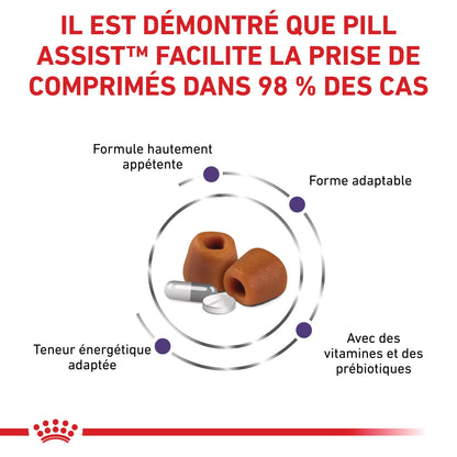 Pill Assist Cache comprimés Chien