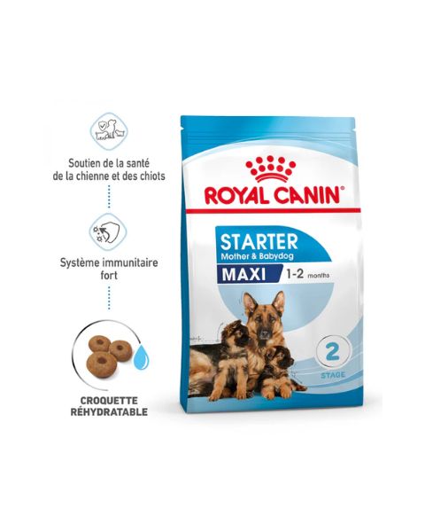 ROYAL CANIN Starter Maxi Mother &amp; Babydog - Croquettes pour chiot