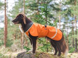 Pomppa Toppa manteau imperméable doublé pour chien Orange