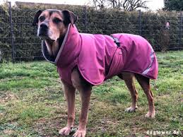 Pomppa Toppa manteau imperméable doublé pour chien Calluna
