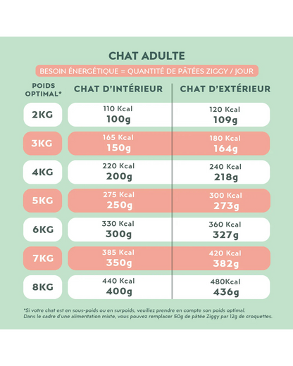 Ziggy Adult Boeuf Pâtée Pour Chat