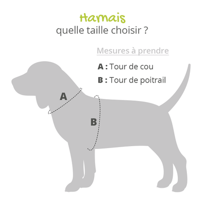 Harnais Comfort Soft - Noir