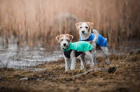 Pomppa Jumppa manteau polaire pour chien Mint