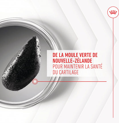 Compléments Royal Canin Joint &amp; Ageing Chews chien