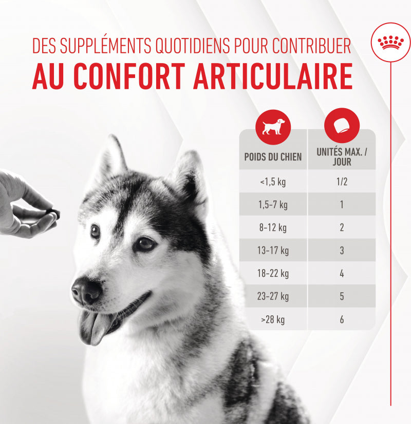 Compléments Royal Canin Joint &amp; Ageing Chews chien