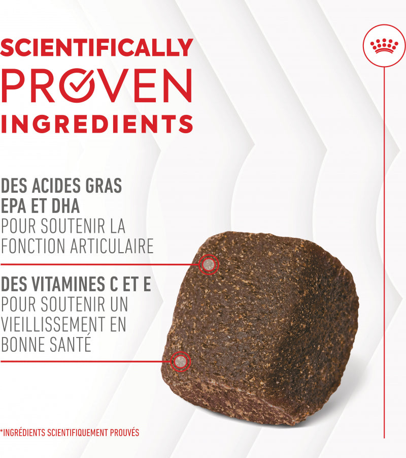 Compléments Royal Canin Joint &amp; Ageing Chews chien