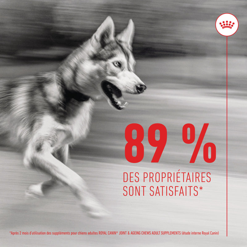 Compléments Royal Canin Joint &amp; Ageing Chews chien