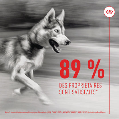 Compléments Royal Canin Joint &amp; Ageing Chews chien