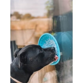 LickiMat Splash