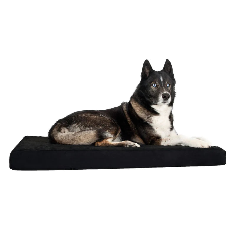 Back On Track Matelas pour chien