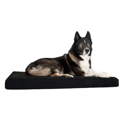 Back On Track Matelas pour chien