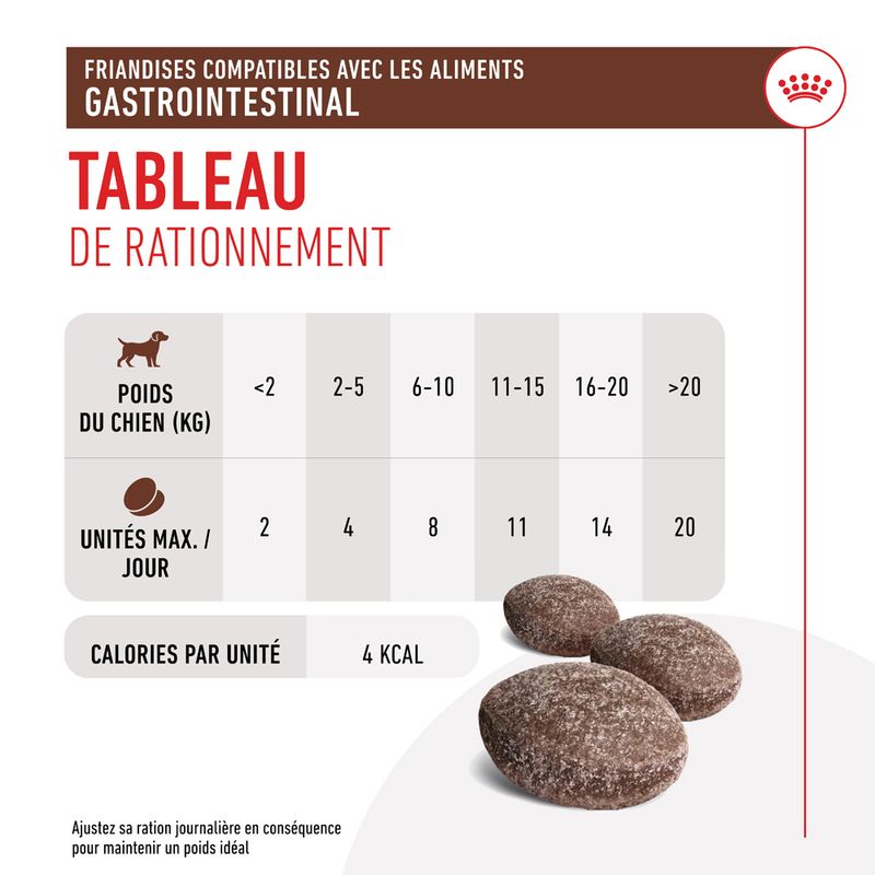 Royal Canin Gastrointestinal Treats chien
