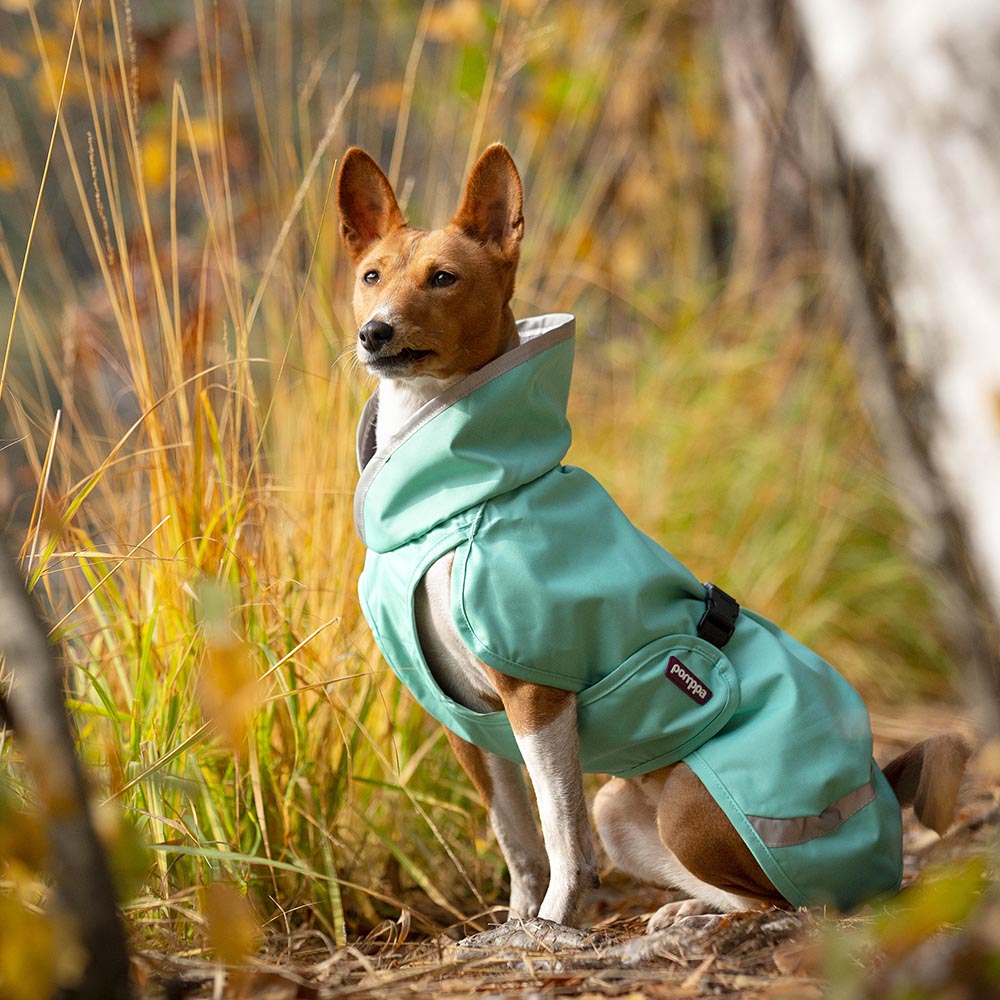 Pomppa Sade manteau imperméable pour chien Mint