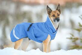 Pomppa Sade manteau imperméable pour chien Sky